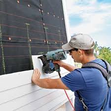 Best Siding Painting and Refinishing  in Maple Lake, MN